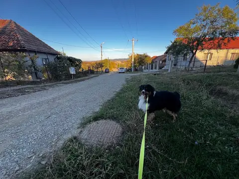 Misiune Cehu Silvaniei, jud. Sălaj