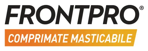 Frontpro